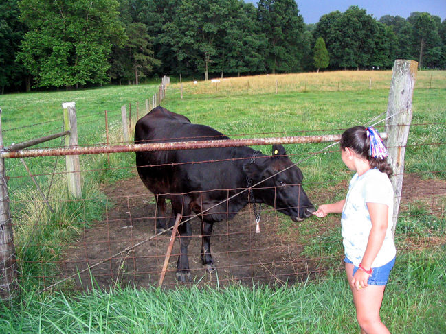 Taylor and mama cow
July 2004 , Dooms, VA
Keywords: Taylor_Roetto