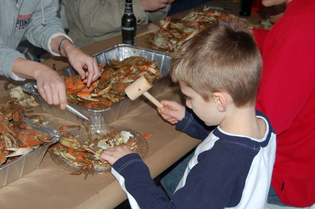 James eating blue crab
Keywords: James crabs
