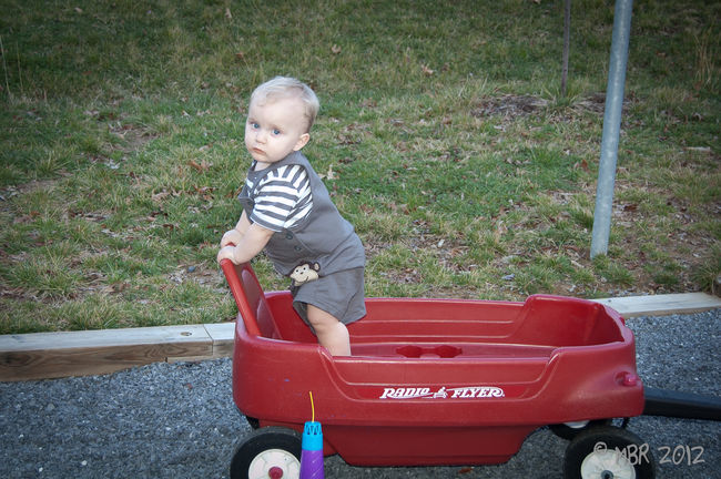 Declan in the wagon 
at Shenandoah River State Park
