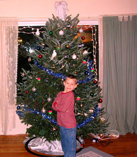 James and the Christmas Tree
Christmas, 2005
Keywords: James Christmas