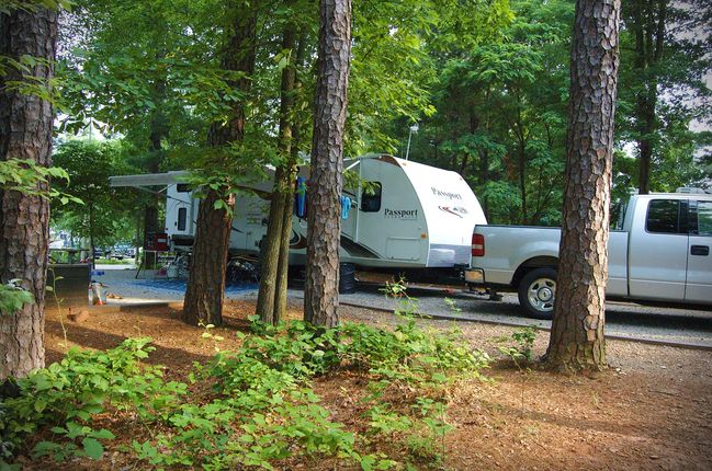 Goose Point Park Campground
Site 19
