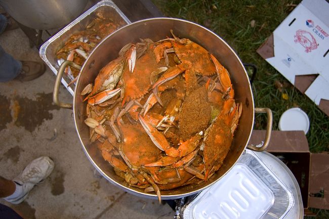 The crab pot
2007 Crab Feast
Keywords: crab2007