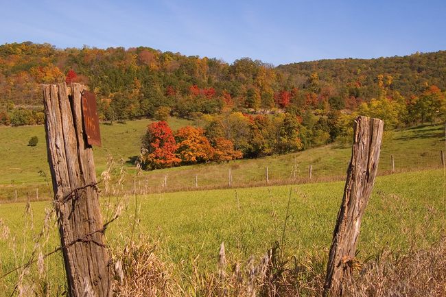 Fall Foliage
Hampshire County, WV
Keywords: 2008