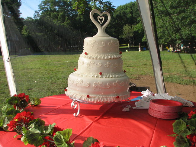 Wedding Cake
Wedding Day August 5, 2006
Big Meadows Campground
Shenandoah National Park, VA
Keywords: Wedding cake