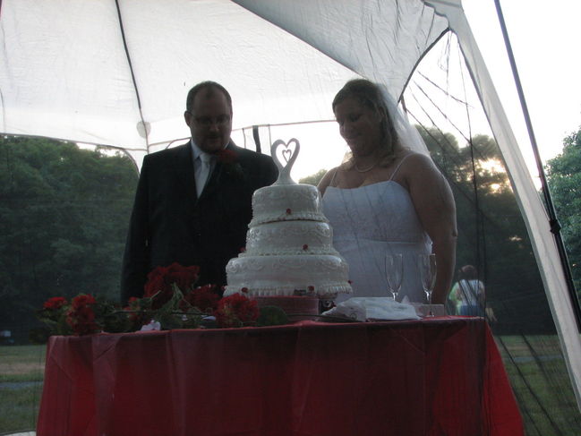 The Wedding Cake
Wedding Day August 5, 2006
Big Meadows Campground
Shenandoah National Park, VA

