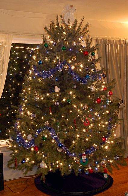 Our misshapen Christmas Tree
Keywords: Christmas
