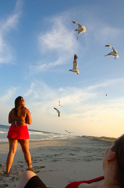 Emily with seagulls
Kure Beach, NC
